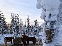 finlandia2023 (922)